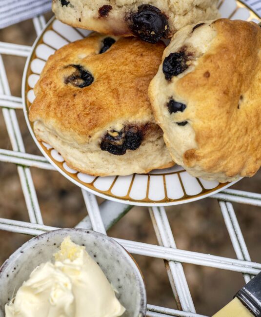 Clotted Cream and Sour Cherry Scones